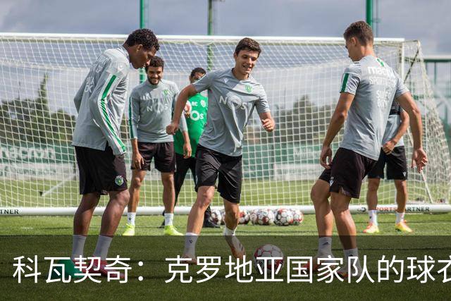 科瓦契奇：克罗地亚国家队的球衣，对我们而言是神圣的